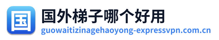 国外梯子哪个好用